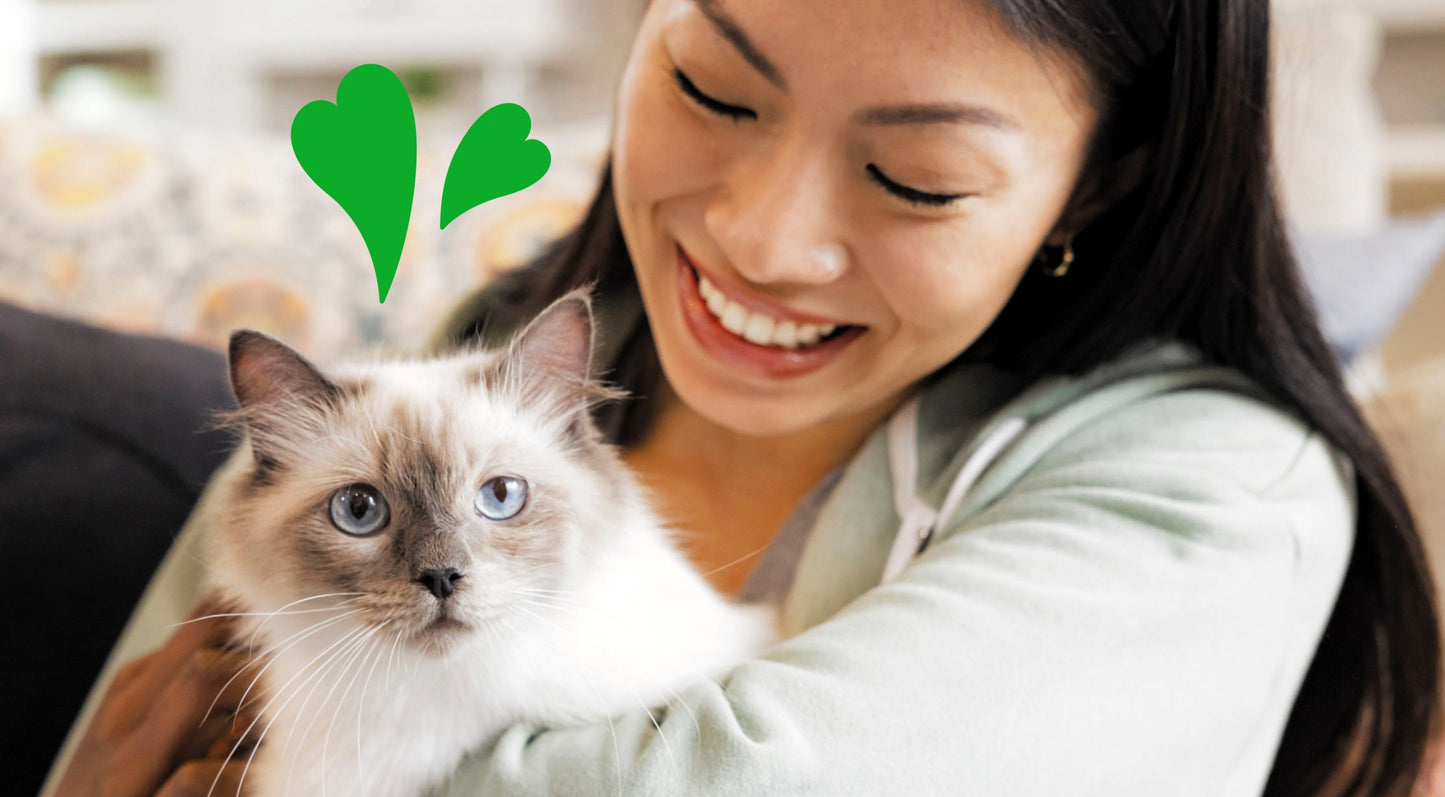 Greenies Feline Pill Pockets