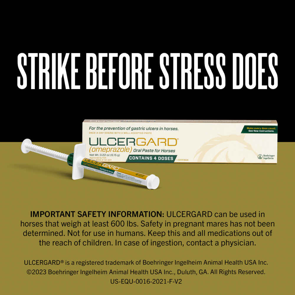 Ulcergard Oral Paste