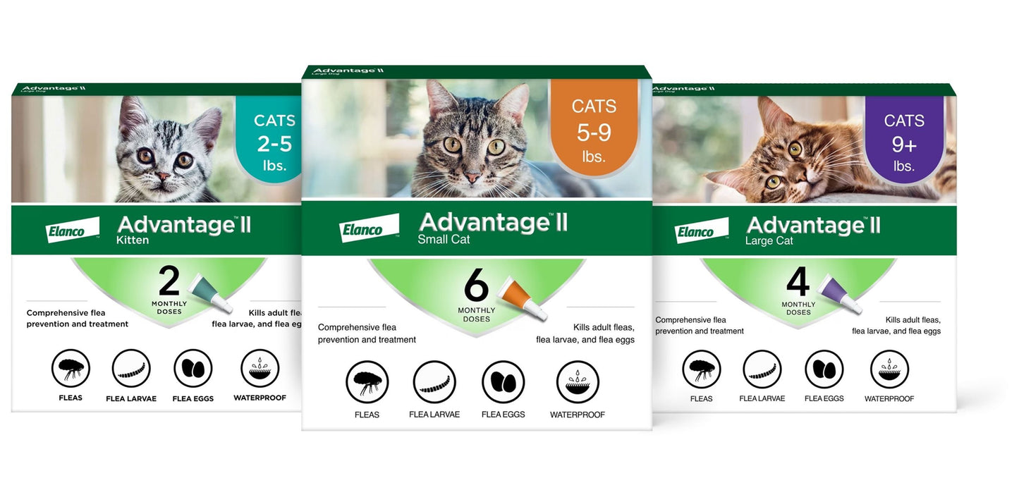 Advantage II Flea Treatment for Cats