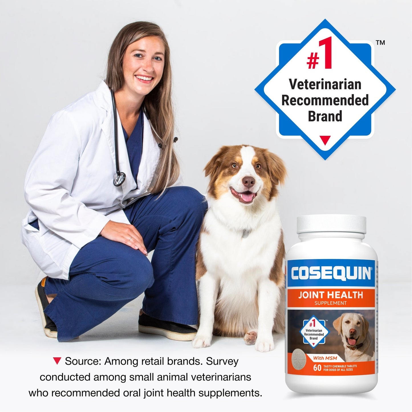 Cosequin Maximum Strength Plus MSM Chewable Tablets