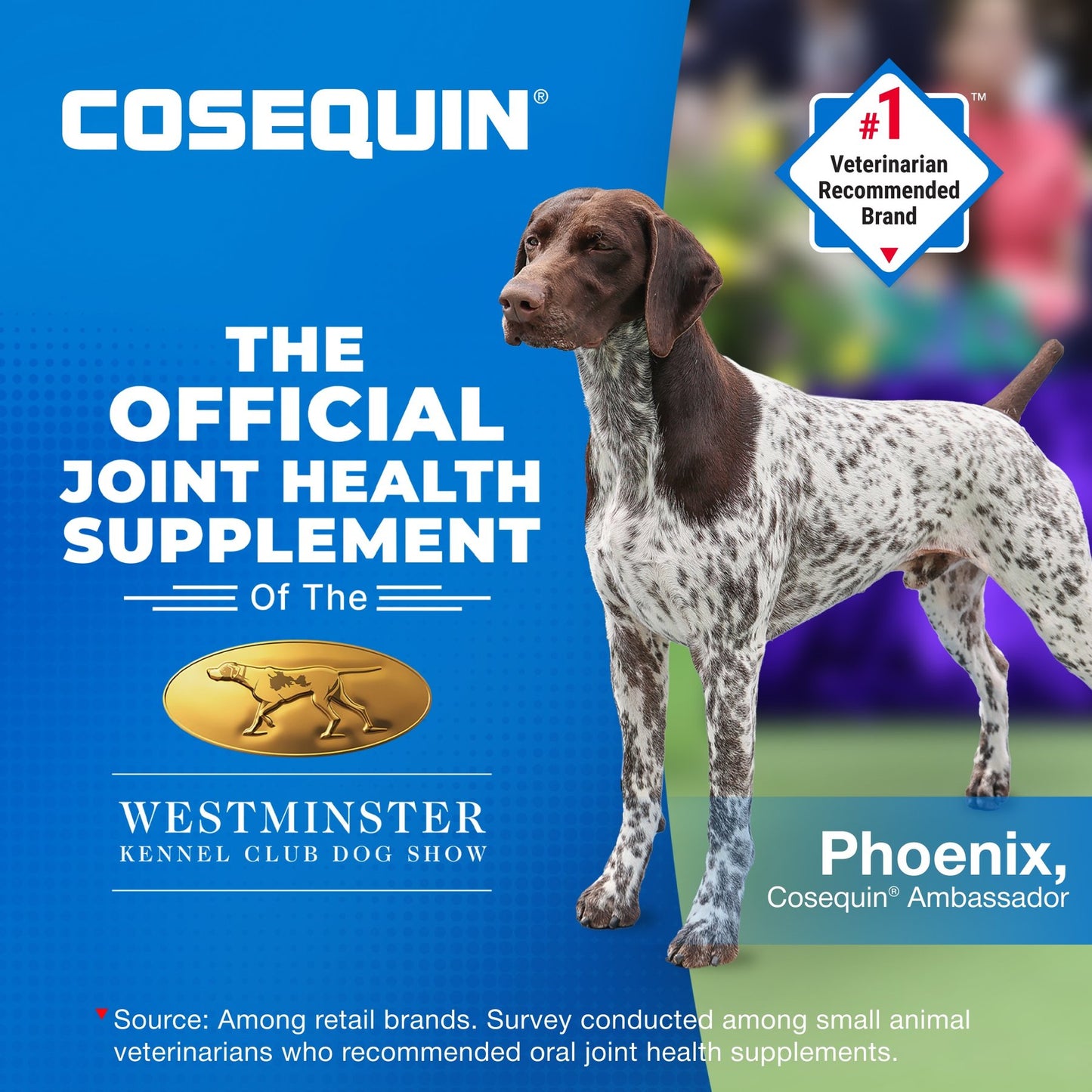 Cosequin Maximum Strength Plus MSM Chewable Tablets