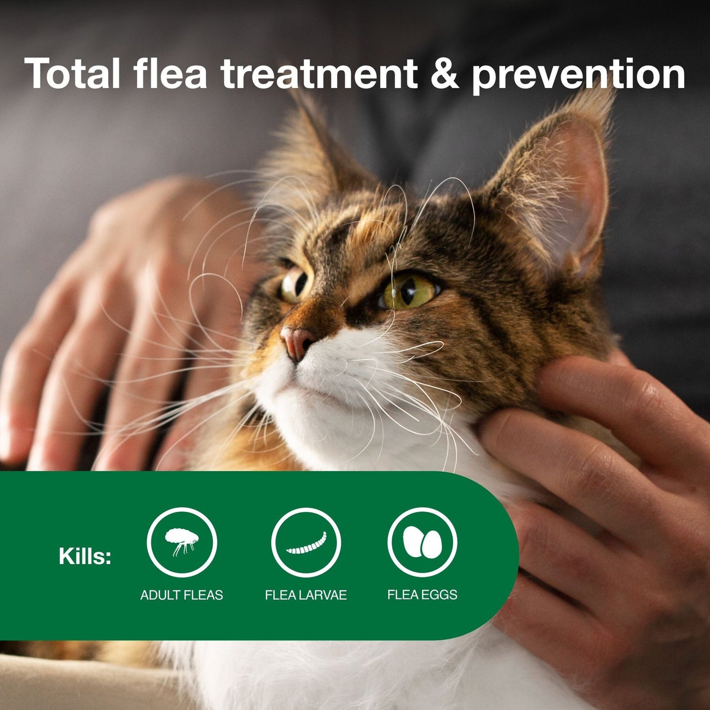 Advantage II Flea Treatment for Cats