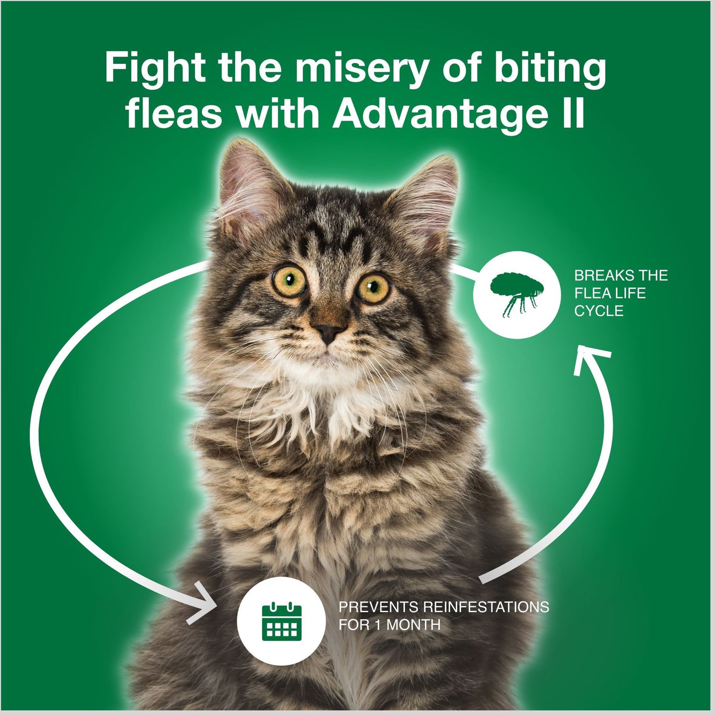 Advantage II Flea Treatment for Cats