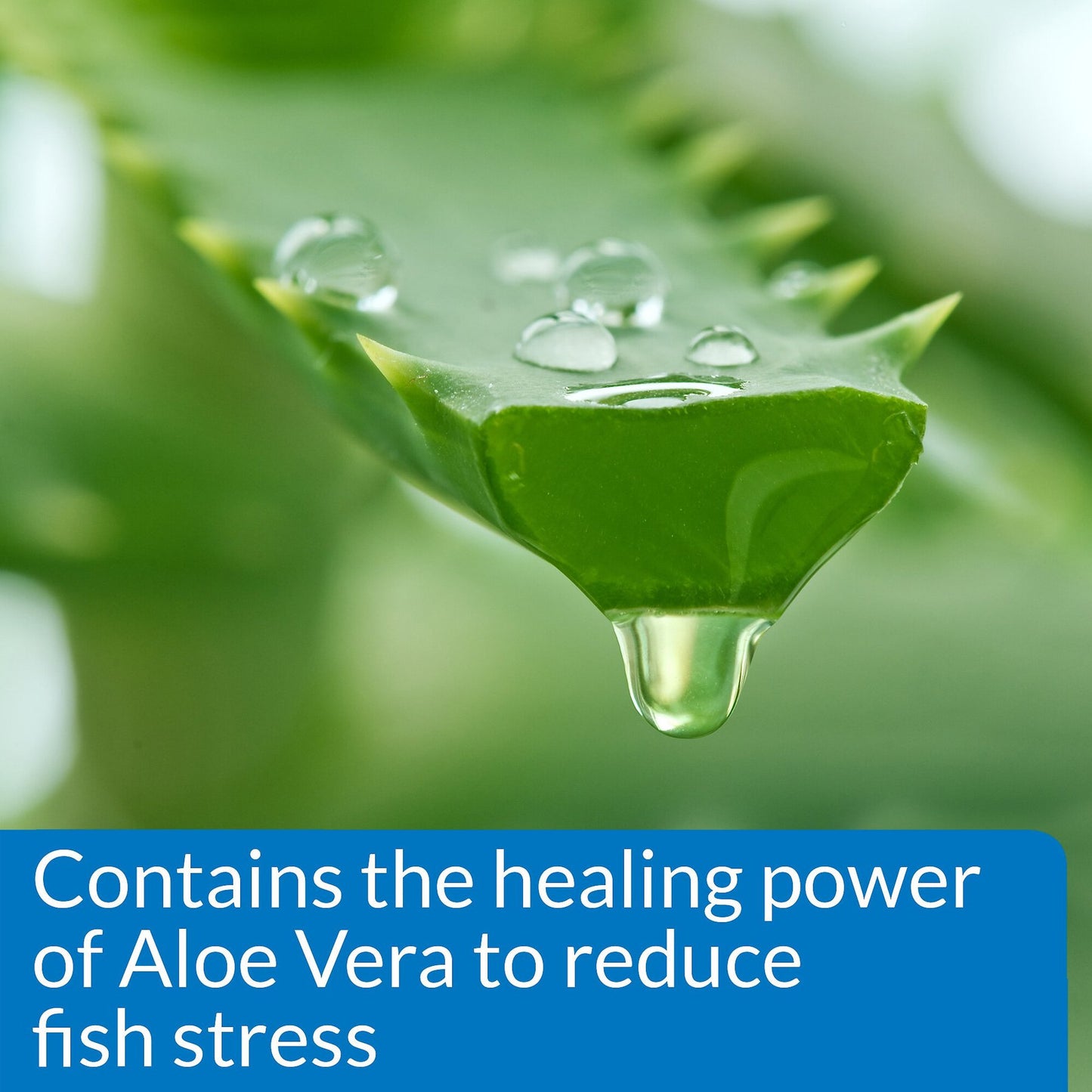 API Stress Coat Water Conditioner