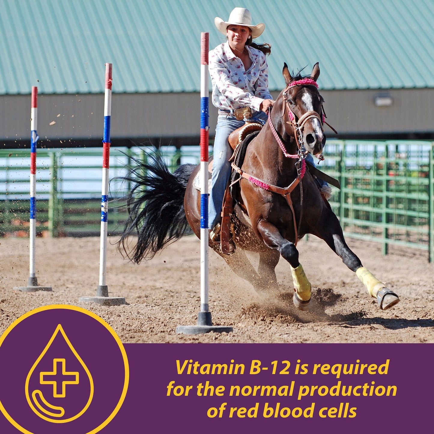 Horse Health Vita B-1 Crumbles