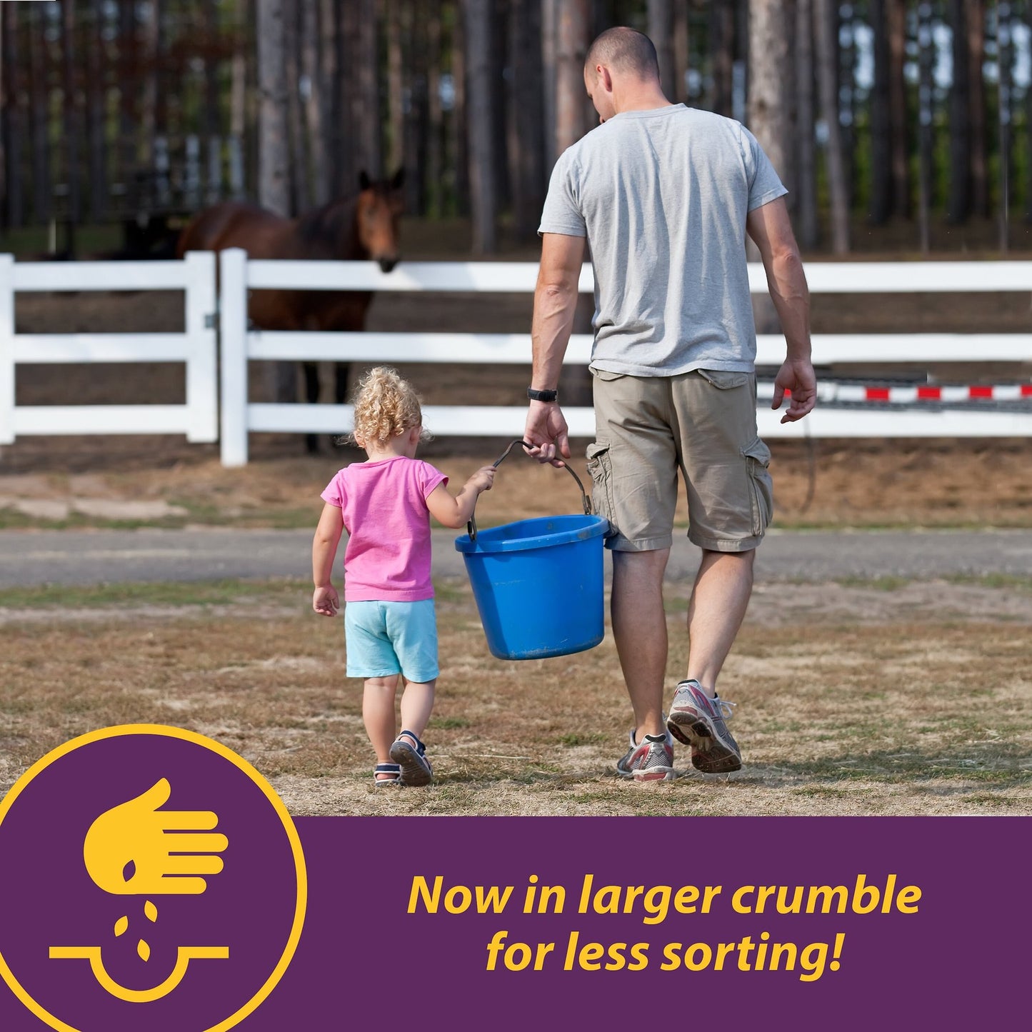 Horse Health Vita B-1 Crumbles