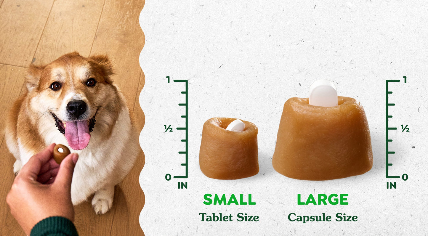 Greenies Pill Pockets Dog Treats