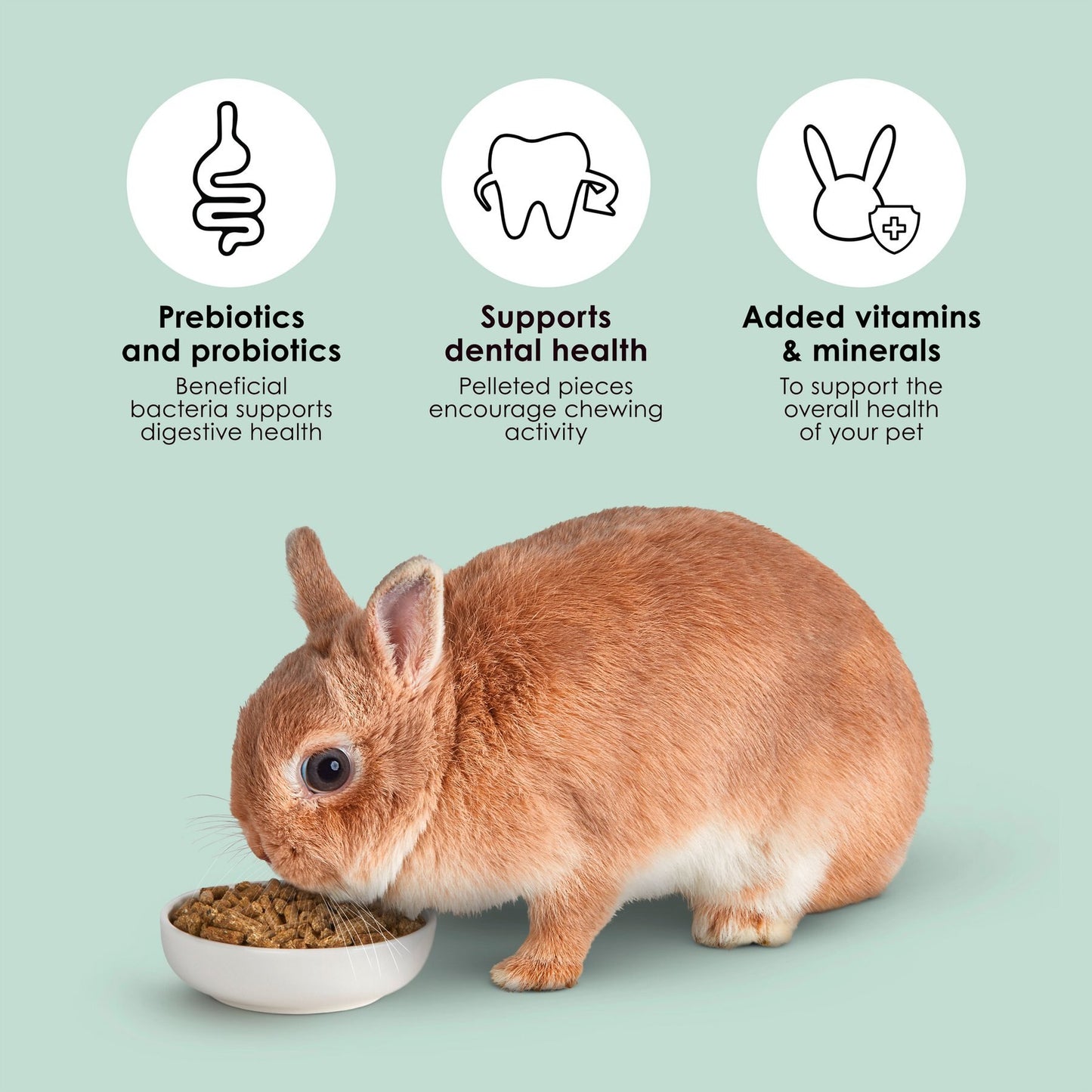 Kaytee Forti-Diet Pro Health Rabbit Food