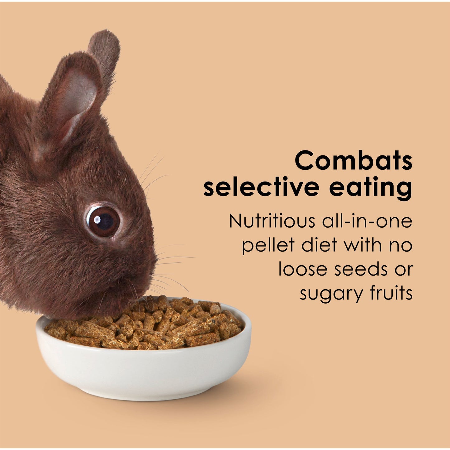 Kaytee Forti-Diet Pro Health Rabbit Food
