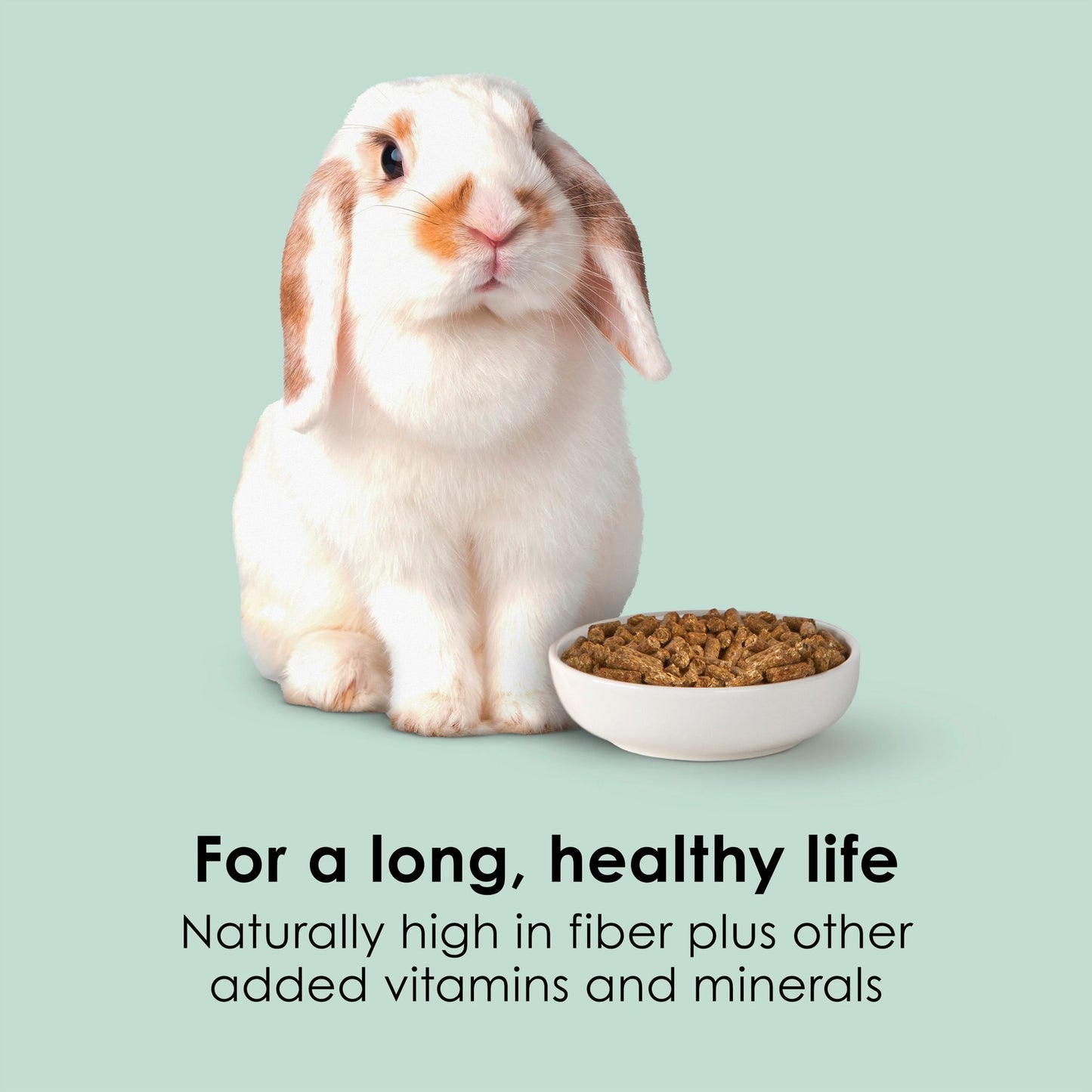 Kaytee Forti-Diet Pro Health Rabbit Food