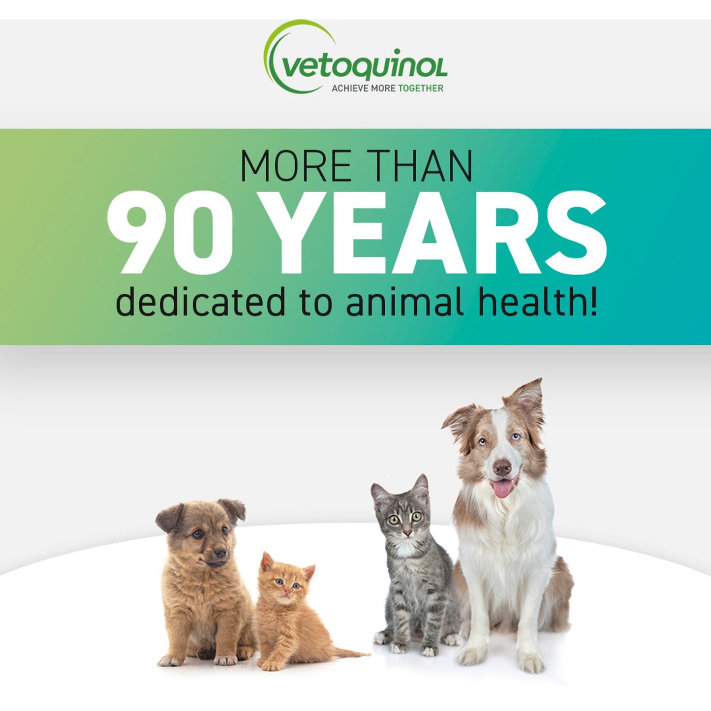 Tomlyn Felovite II Nutritional Gel for Cats