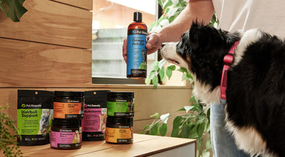 PetHonesty 10-for-1 Multivitamin Snacks
