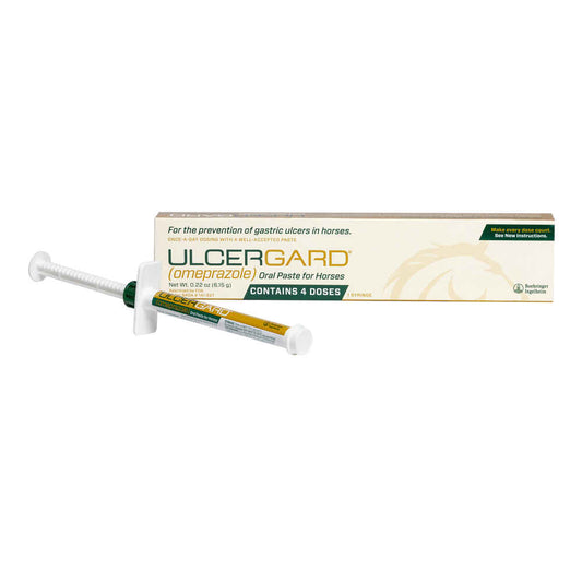 Ulcergard Oral Paste