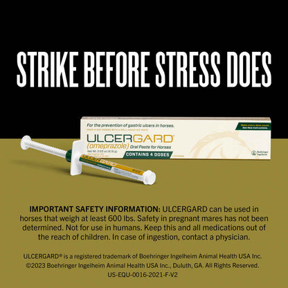 Ulcergard Oral Paste