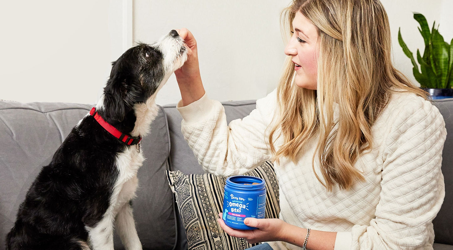 Zesty Paws Allergy Immune Bites