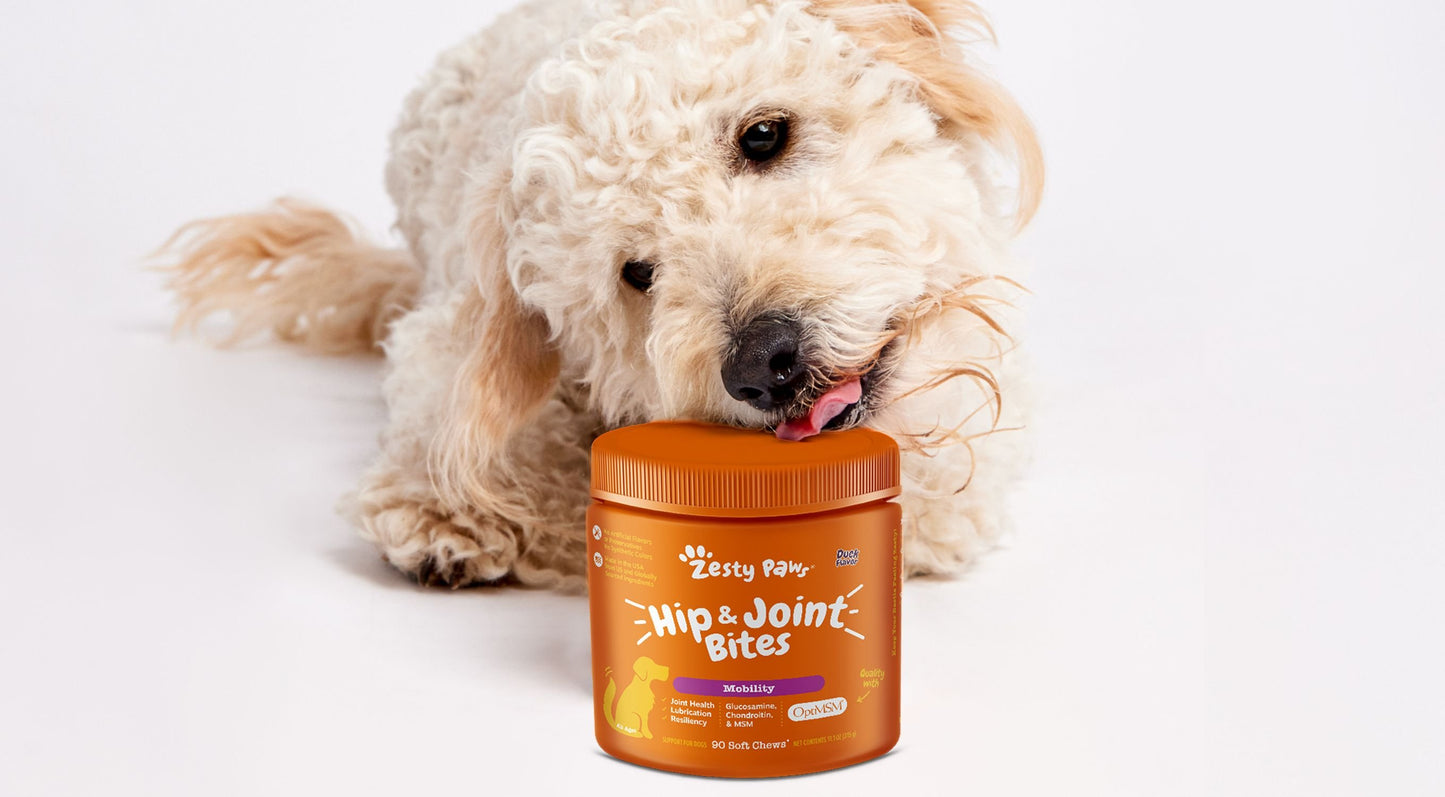 Zesty Paws Allergy Immune Bites