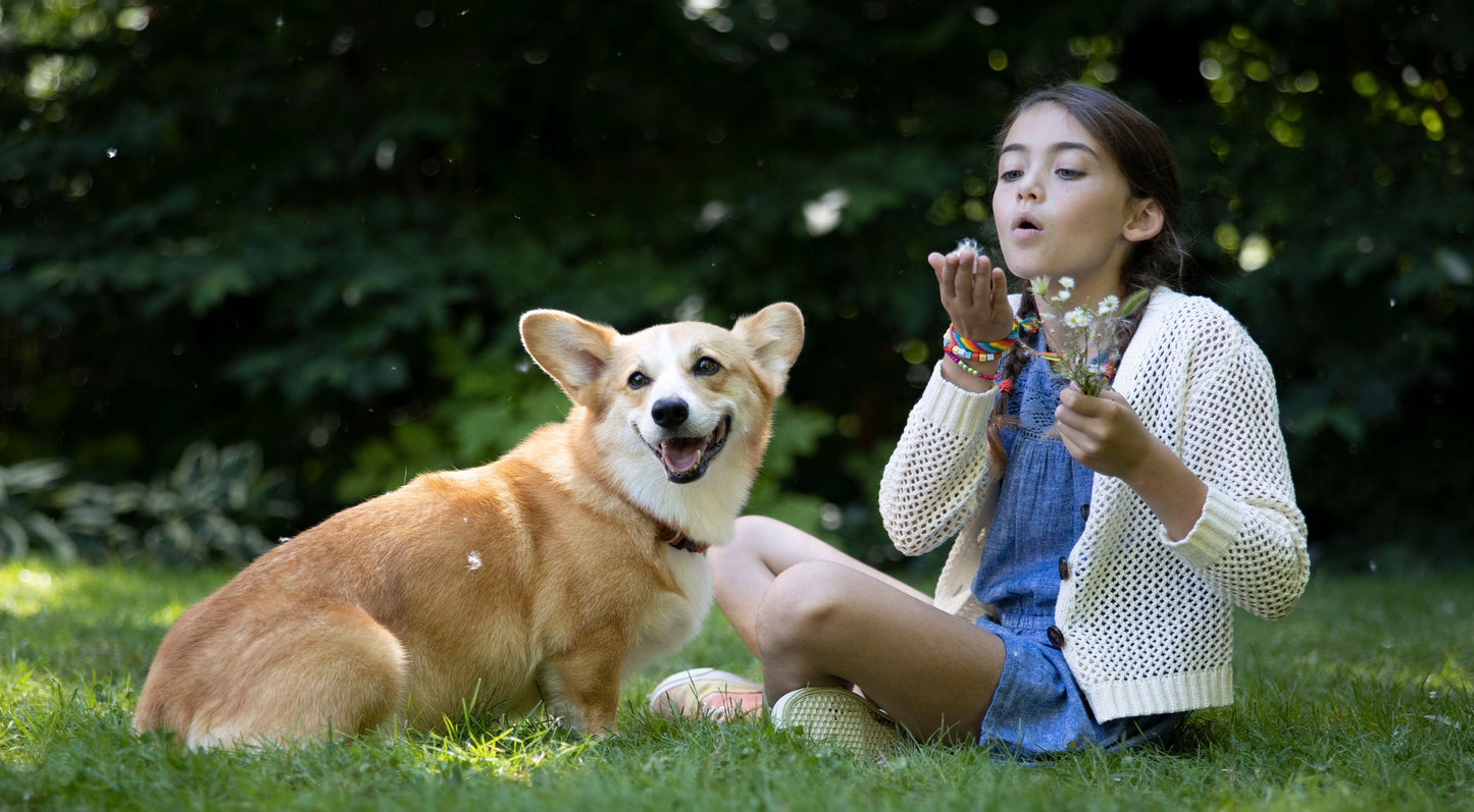 Zesty Paws Allergy Immune Bites