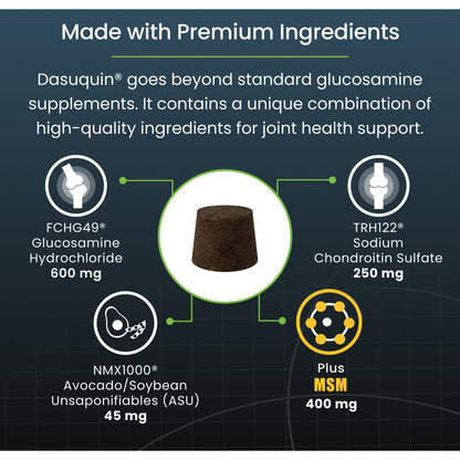 Nutramax Dasuquin with MSM Soft Chews