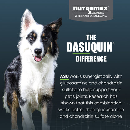 Nutramax Dasuquin with MSM Soft Chews