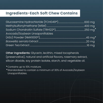 Nutramax Dasuquin with MSM Soft Chews