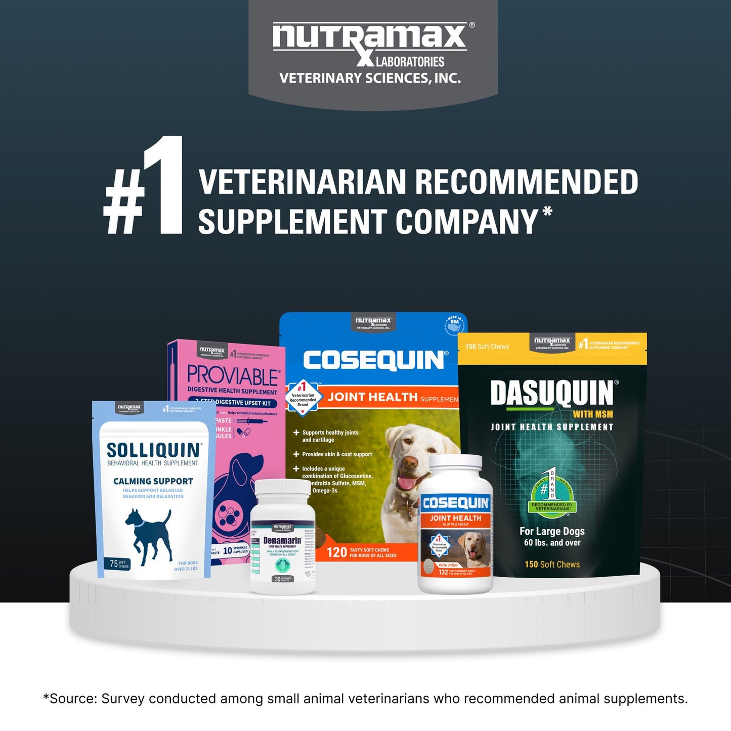 Nutramax Dasuquin with MSM Soft Chews