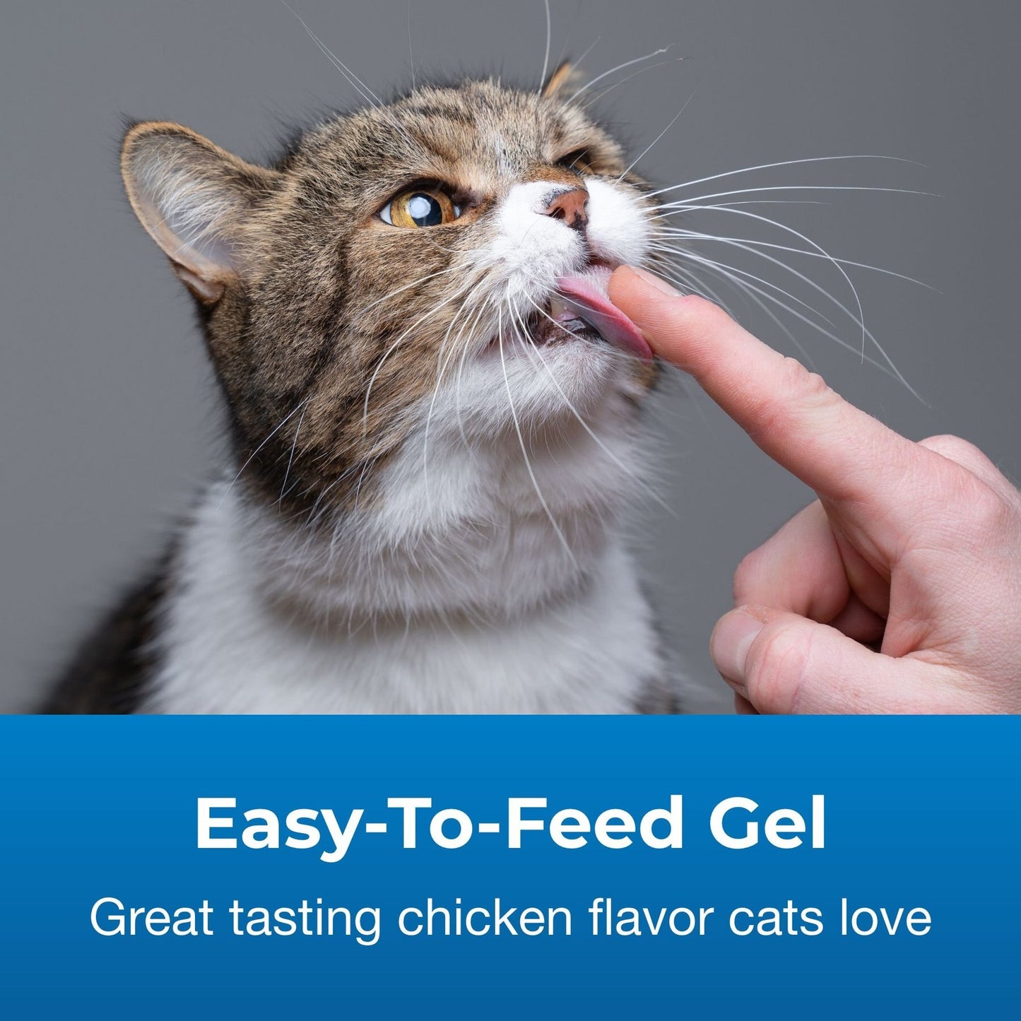 PetAg CatSure Nutritional Supplement