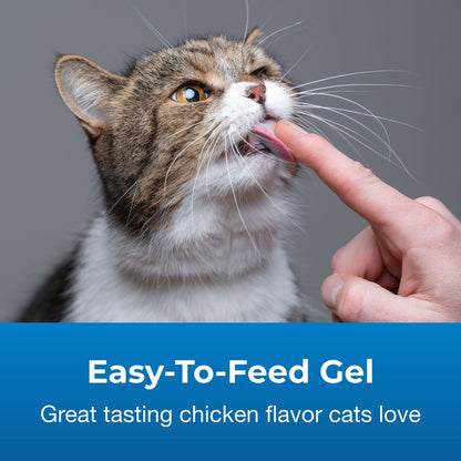 PetAg CatSure Nutritional Supplement