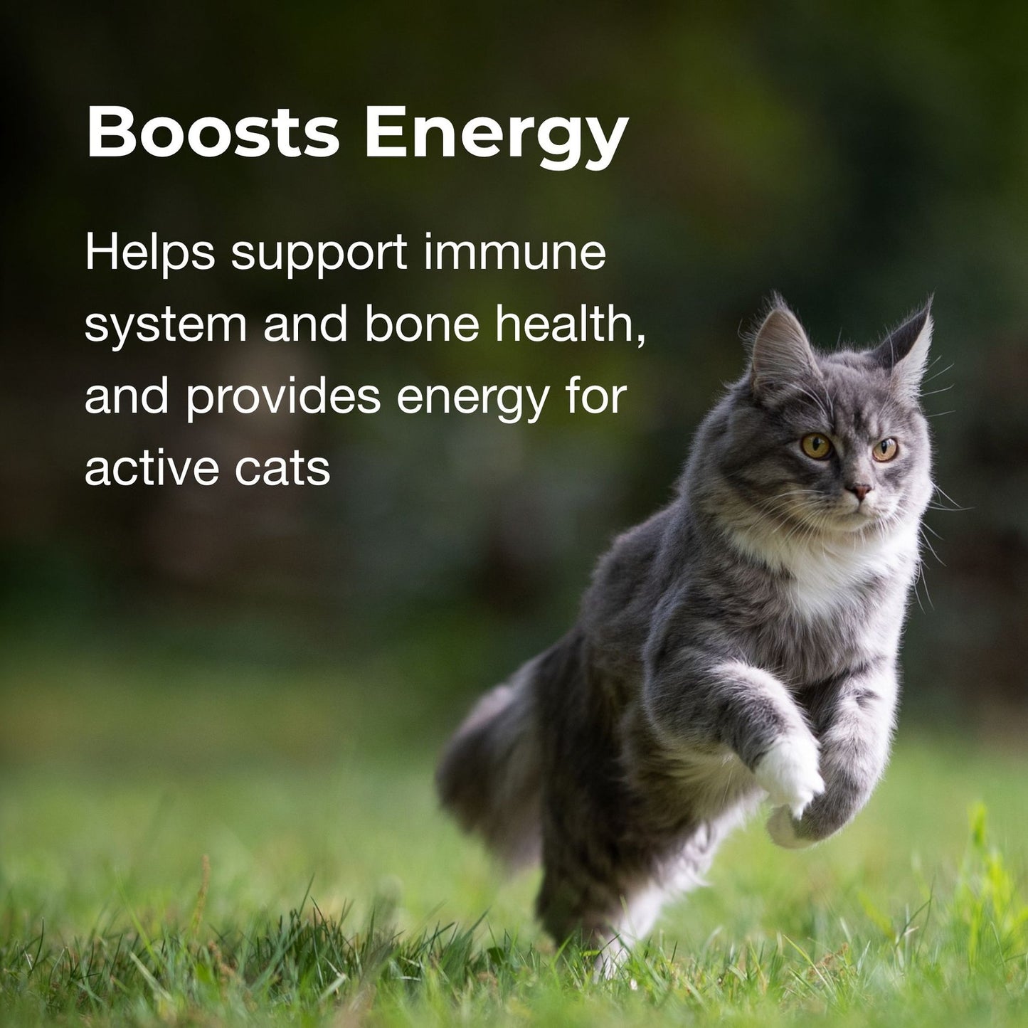 PetAg CatSure Nutritional Supplement