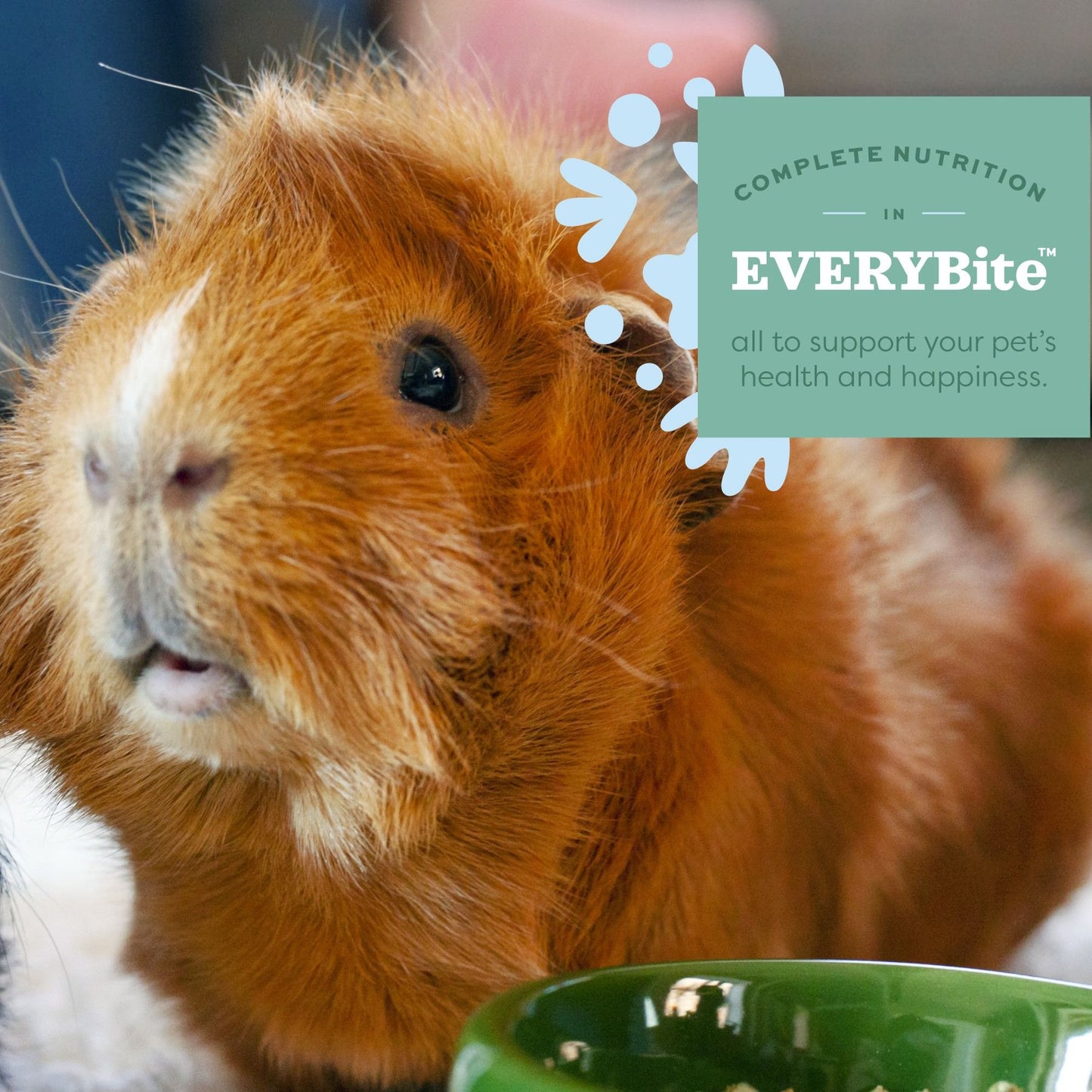 Oxbow Essentials Guinea Pig Food
