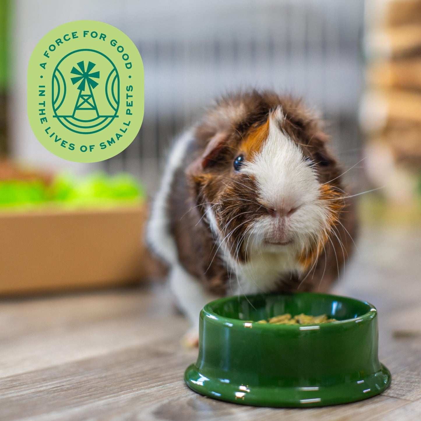Oxbow Essentials Guinea Pig Food