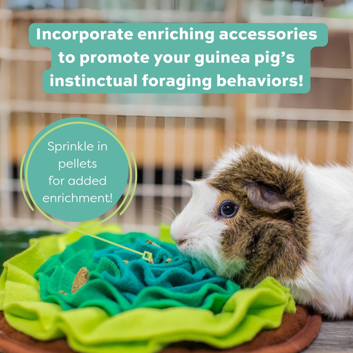 Oxbow Essentials Guinea Pig Food