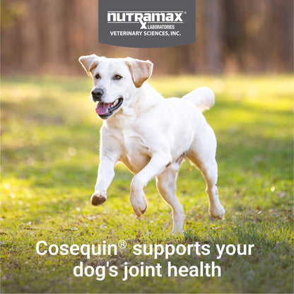 Cosequin Maximum Strength Plus MSM Chewable Tablets