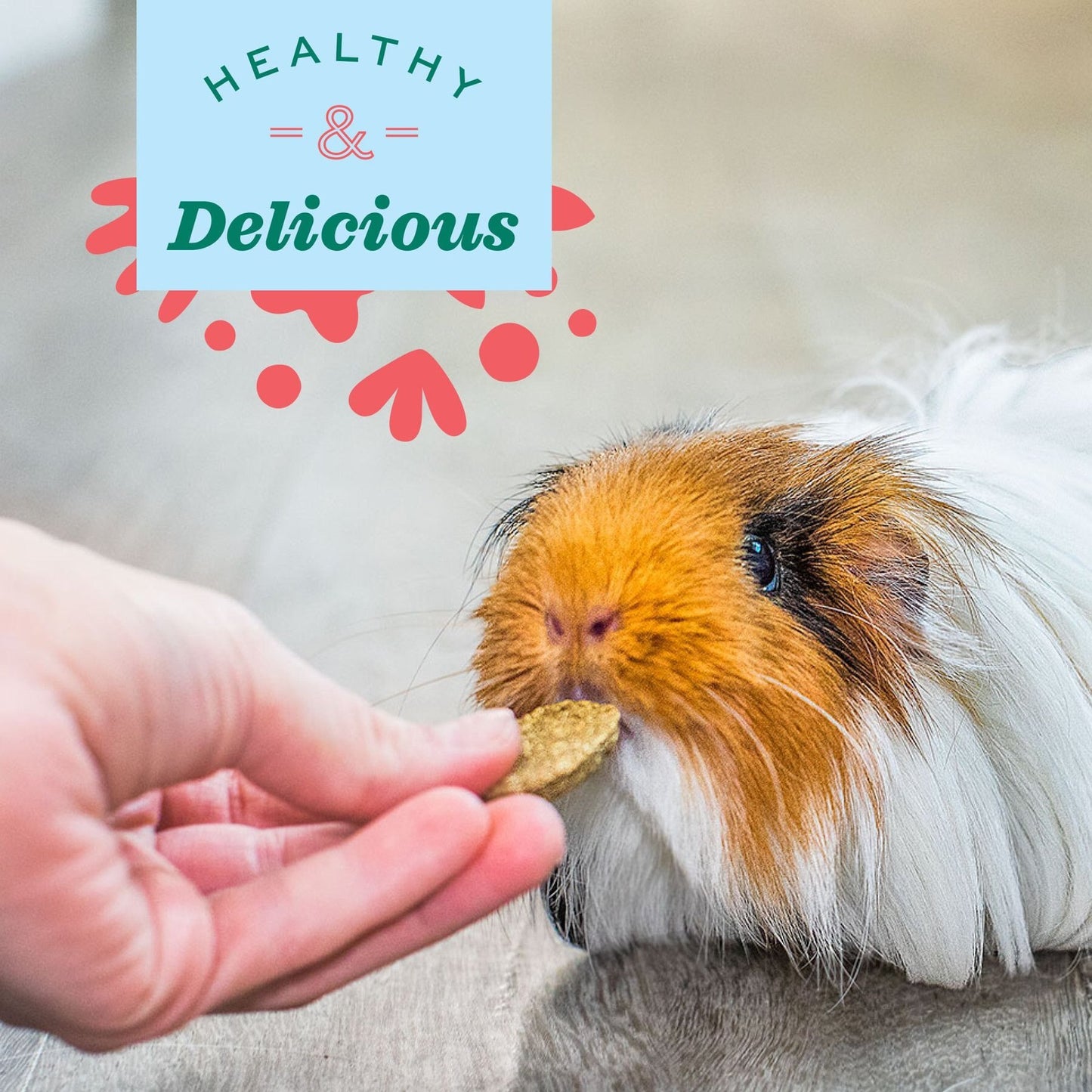 Oxbow Natural Science Vitamin C Supplement for Small Animals